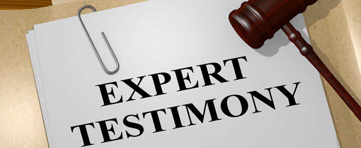EXPERT WITNESS AND LITIGATION SUPPORT